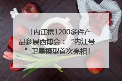 内江携1200多件产品参展西博会：“内江号”卫星模型首次亮相