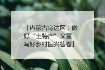 内蒙古乌达区：做好“土特产”文章 写好乡村振兴答卷