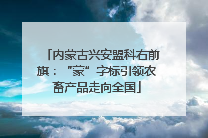 内蒙古兴安盟科右前旗：“蒙”字标引领农畜产品走向全国
