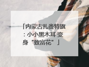 内蒙古扎赉特旗：小小黑木耳 变身“致富花”