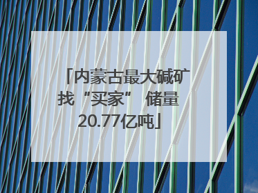 内蒙古最大碱矿找“买家” 储量20.77亿吨