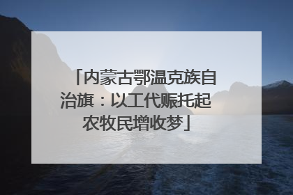 内蒙古鄂温克族自治旗：以工代赈托起农牧民增收梦