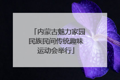 内蒙古魅力家园民族民间传统趣味运动会举行