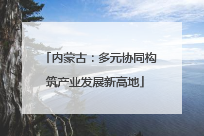 内蒙古：多元协同构筑产业发展新高地