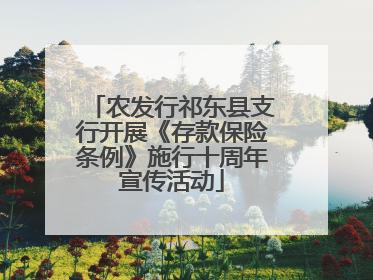 农发行祁东县支行开展《存款保险条例》施行十周年宣传活动
