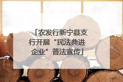 农发行新宁县支行开展“民法典进企业”普法宣传