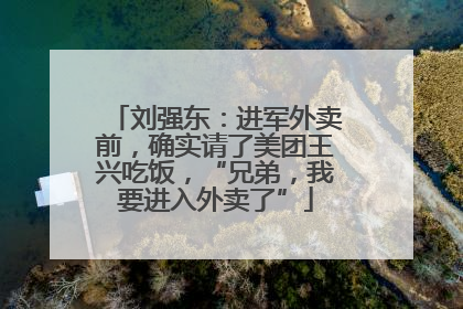 刘强东：进军外卖前，确实请了美团王兴吃饭，“兄弟，我要进入外卖了”