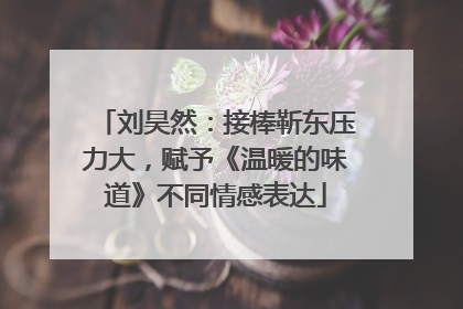 刘昊然：接棒靳东压力大，赋予《温暖的味道》不同情感表达