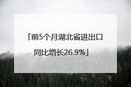 前5个月湖北省进出口同比增长26.9%