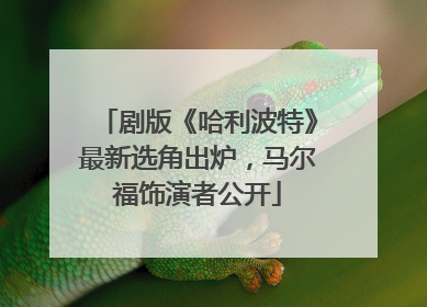 剧版《哈利波特》最新选角出炉，马尔福饰演者公开