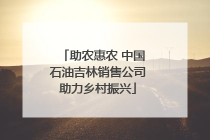 助农惠农 中国石油吉林销售公司助力乡村振兴