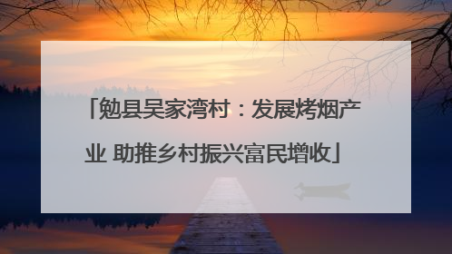 勉县吴家湾村：发展烤烟产业 助推乡村振兴富民增收
