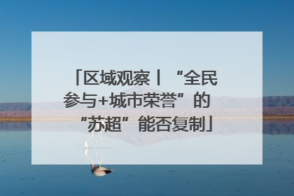 区域观察丨“全民参与+城市荣誉”的“苏超”能否复制