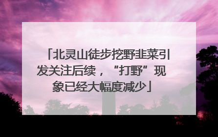 北灵山徒步挖野韭菜引发关注后续，“打野”现象已经大幅度减少