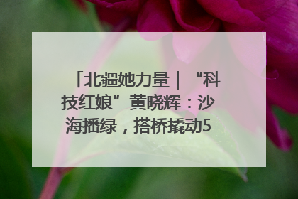 北疆她力量｜“科技红娘”黄晓辉：沙海播绿，搭桥撬动5.3亿研发