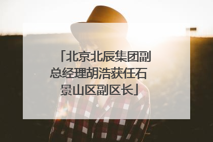 北京北辰集团副总经理胡浩获任石景山区副区长