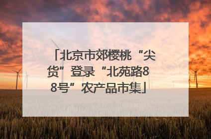 北京市郊樱桃“尖货”登录“北苑路88号”农产品市集