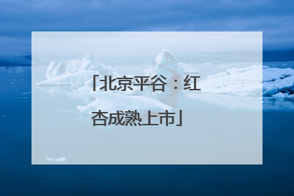 北京平谷：红杏成熟上市