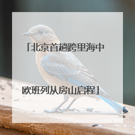 北京首趟跨里海中欧班列从房山启程
