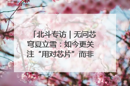 北斗专访｜无问芯穹夏立雪：如今更关注“用对芯片”而非“用贵芯片”