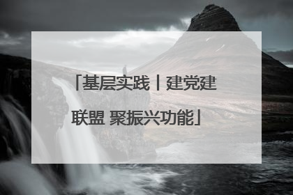 基层实践丨建党建联盟 聚振兴功能