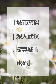 城市密码｜深入武汉，探寻城市密码
