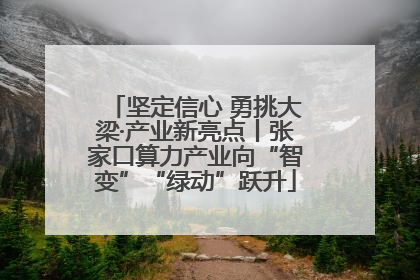 坚定信心 勇挑大梁·产业新亮点丨张家口算力产业向“智变”“绿动”跃升