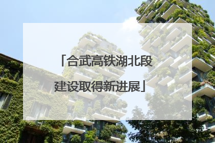 合武高铁湖北段建设取得新进展