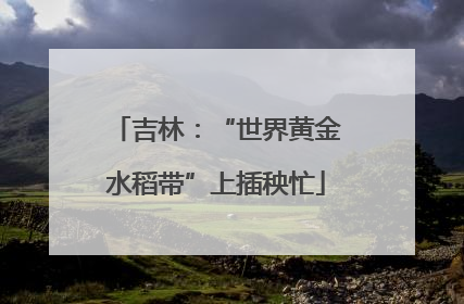 吉林：“世界黄金水稻带”上插秧忙