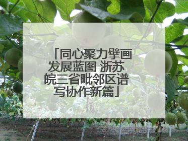 同心聚力擘画发展蓝图 浙苏皖三省毗邻区谱写协作新篇