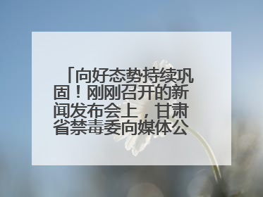 向好态势持续巩固！刚刚召开的新闻发布会上，甘肃省禁毒委向媒体公布三年禁毒工作“成绩单”