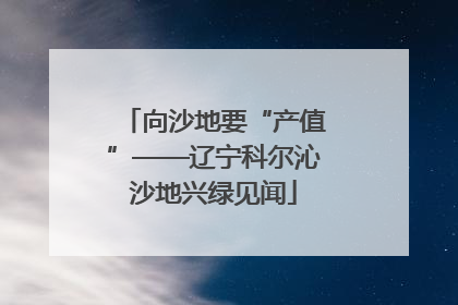 向沙地要“产值”——辽宁科尔沁沙地兴绿见闻