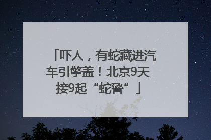 吓人，有蛇藏进汽车引擎盖！北京9天接9起“蛇警”