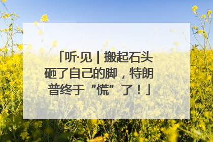 听·见｜搬起石头砸了自己的脚，特朗普终于“慌”了！