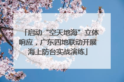 启动“空天地海”立体响应，广东四地联动开展海上防台实战演练
