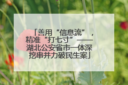 善用“信息流”，精准“打七寸”——湖北公安省市一体深挖串并力破民生案