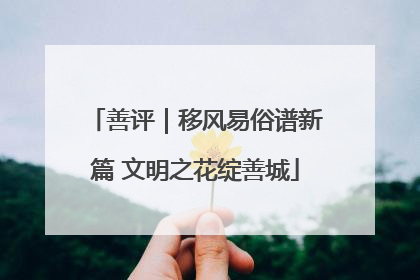 善评｜移风易俗谱新篇 文明之花绽善城