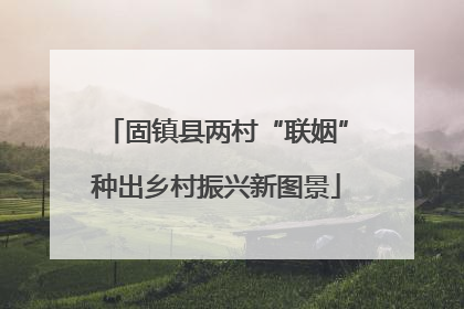 固镇县两村“联姻”种出乡村振兴新图景