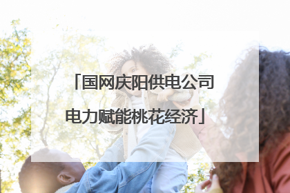 国网庆阳供电公司电力赋能桃花经济