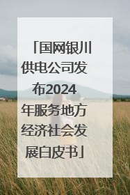 国网银川供电公司发布2024年服务地方经济社会发展白皮书