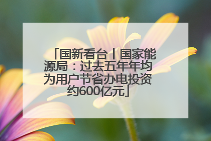 国新看台丨国家能源局：过去五年年均为用户节省办电投资约600亿元