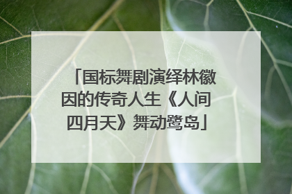国标舞剧演绎林徽因的传奇人生《人间四月天》舞动鹭岛