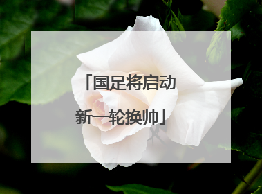 国足将启动新一轮换帅