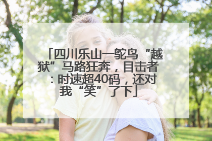 四川乐山一鸵鸟“越狱”马路狂奔，目击者：时速超40码，还对我“笑”了下