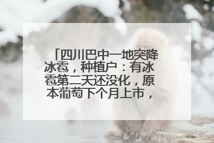 四川巴中一地突降冰雹，种植户：有冰雹第二天还没化，原本葡萄下个月上市，现在全被打落