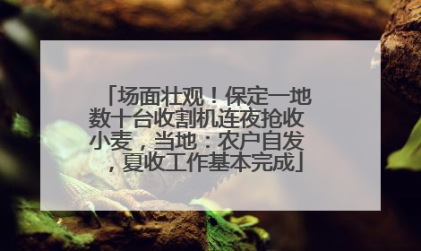场面壮观！保定一地数十台收割机连夜抢收小麦，当地：农户自发，夏收工作基本完成