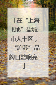 在“上海飞地”盐城市大丰区，“沪苏”品牌日益响亮