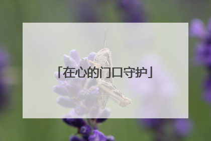 在心的门口守护