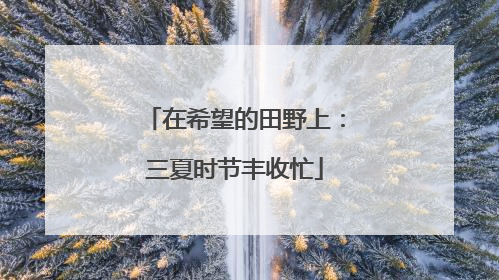 在希望的田野上：三夏时节丰收忙