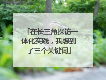 在长三角探访一体化实践，我想到了三个关键词